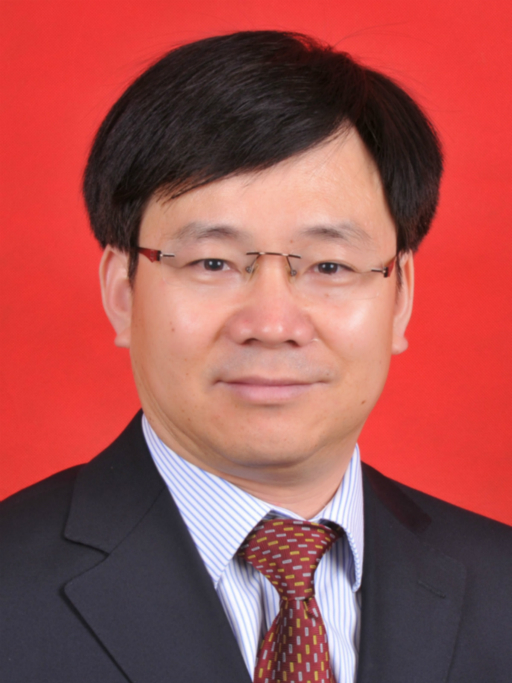 李桂強(天津市西青區區委常委) 李桂強(天津市西青區區委常委)