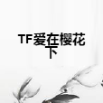 TF愛在櫻花下 TF愛在櫻花下