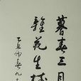 蕭勞 蕭勞