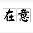 在意(詞語) 在意(詞語)
