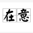 在意(詞語)