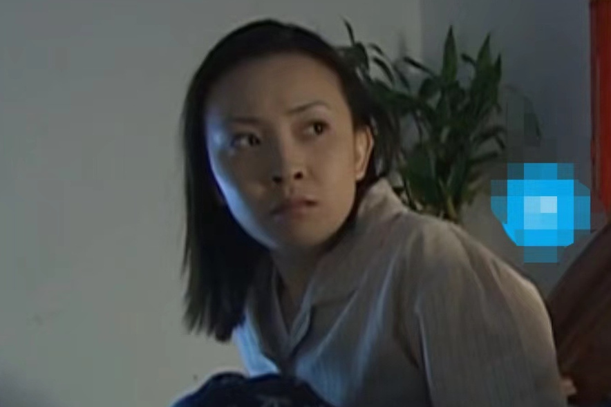 李梅(電視劇《征服》中的女主角) 李梅(電視劇《征服》中的女主角)