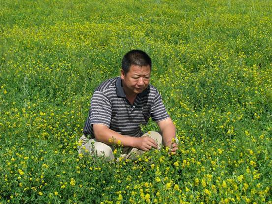 王俊傑(內蒙古農業大學草原與資源環境學院教授) 王俊傑(內蒙古農業大學草原與資源環境學院教授)