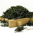 毛冬青茶葉 毛冬青茶葉
