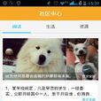 安安論壇 安安論壇