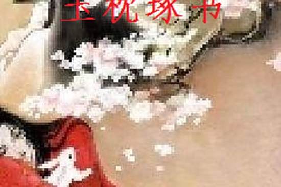 玉枕琢書 玉枕琢書
