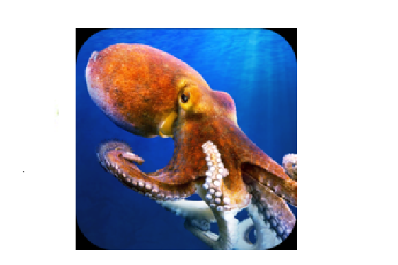 變異八爪魚