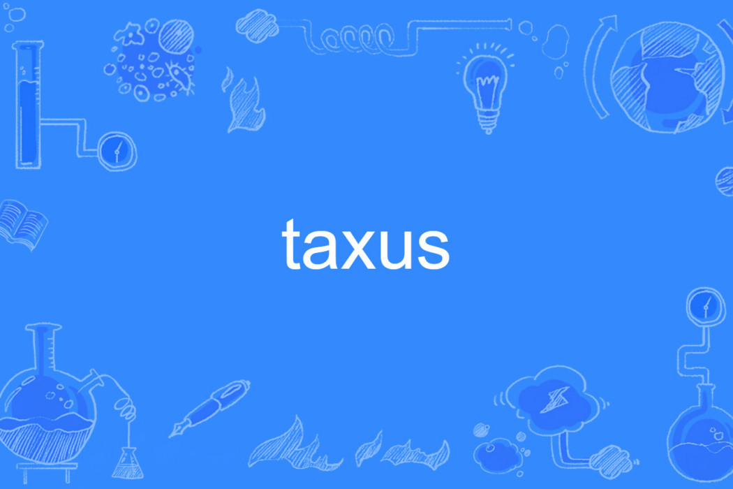 taxus taxus