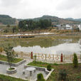 水潮村(貴州省赫章縣水塘堡鄉下轄村) 水潮村(貴州省赫章縣水塘堡鄉下轄村)