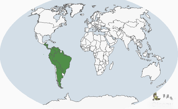 南美田雞屬分布圖