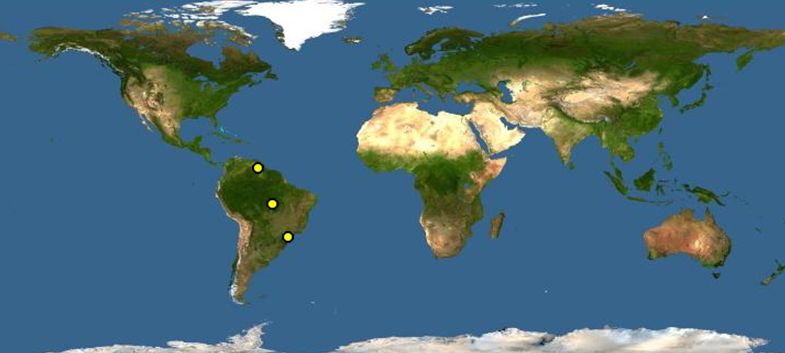 紅尾亞馬遜鸚鵡分布圖