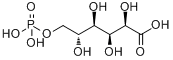 6-磷酸葡糖醛酸鋇鹽
