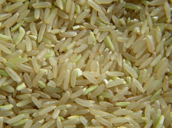 糙米粒