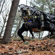 大狗機器人(大狗（波士頓動力學工程公司為美軍設計的機器人）)