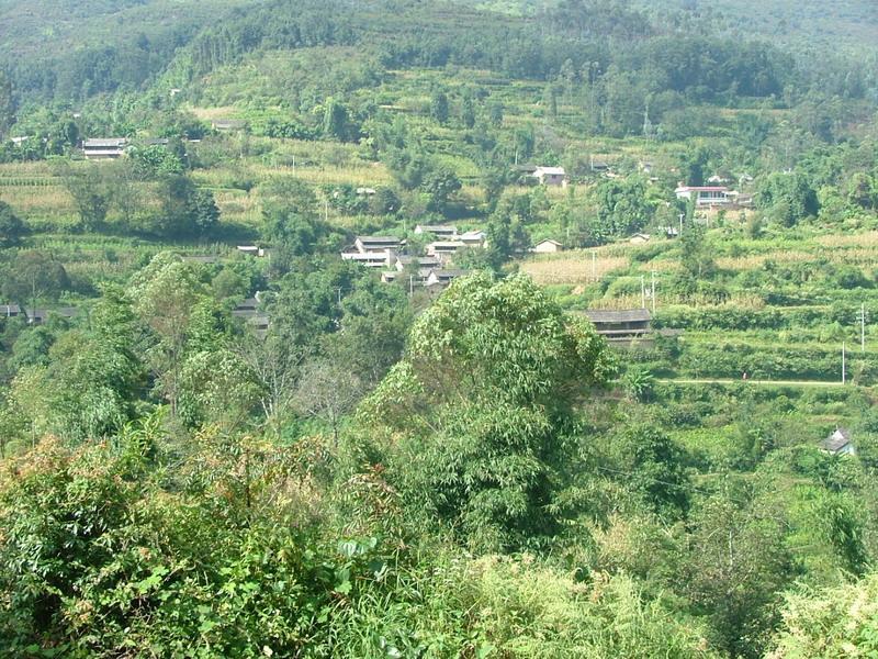 虎山頭村 虎山頭村