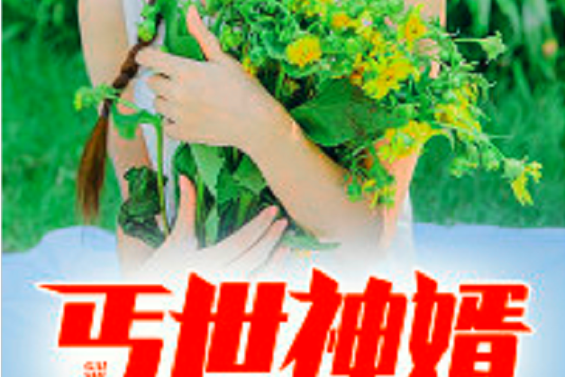 丐世神婿 丐世神婿