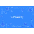 vulnerability vulnerability