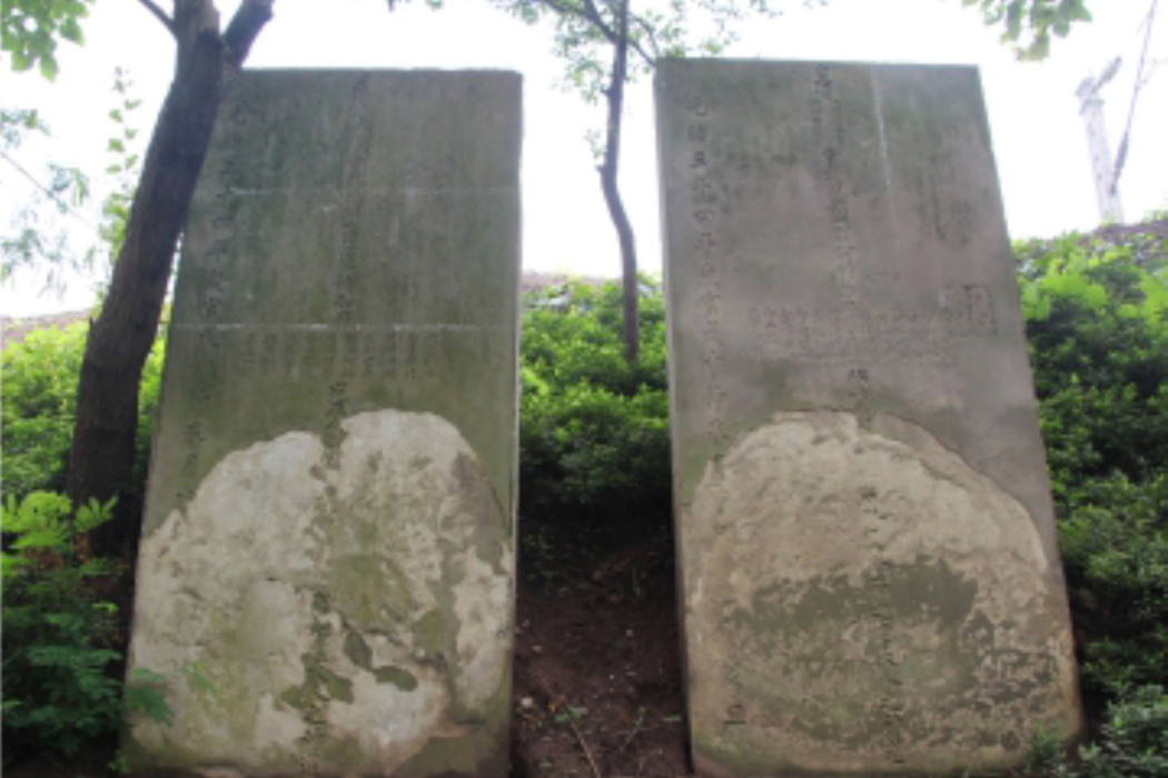 神道碑(自貢市境內的一處古蹟) 神道碑(自貢市境內的一處古蹟)