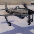 ME309戰鬥機 ME309戰鬥機