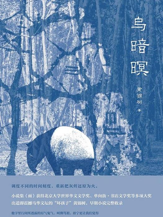 烏暗暝(2020年上海文藝出版社出版的圖書) 烏暗暝(2020年上海文藝出版社出版的圖書)