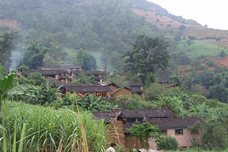 多依箐村(雲南省尋甸縣柯渡鎮下轄村) 多依箐村(雲南省尋甸縣柯渡鎮下轄村)