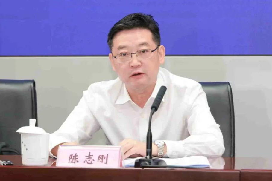 陳志剛(安徽省人力資源和社會保障廳原二級巡視員) 陳志剛(安徽省人力資源和社會保障廳原二級巡視員)