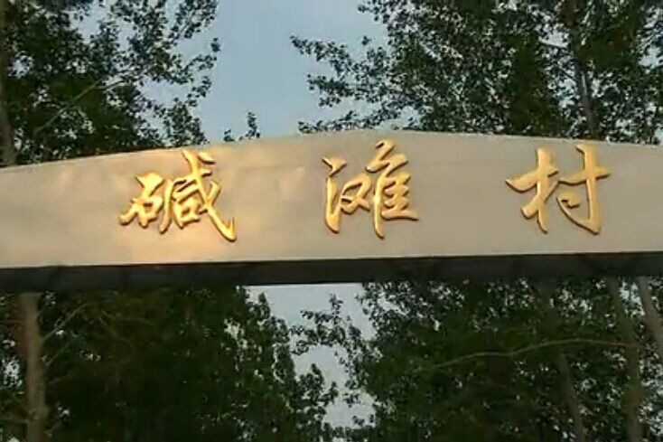 鹼灘村(山東寒亭區高里街道下轄村) 鹼灘村(山東寒亭區高里街道下轄村)