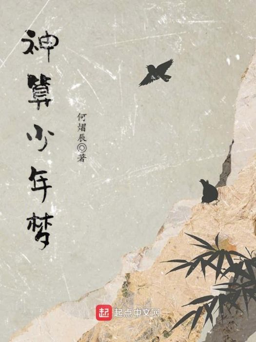 神算少年夢 神算少年夢