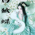 白狐蝶 白狐蝶