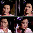 辛十四娘(1986年謝晉導演聊齋系列電視劇之一) 辛十四娘(1986年謝晉導演聊齋系列電視劇之一)