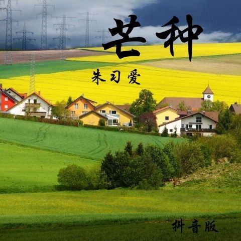 芒種(朱習愛演唱歌曲) 芒種(朱習愛演唱歌曲)