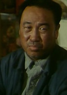 鳳凰琴(1994年李保田主演電影)