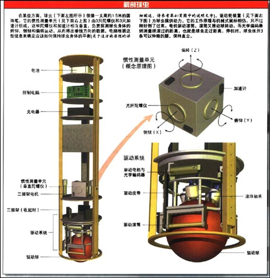 球蟲機器人