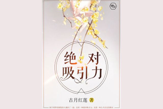 絕對吸引力 絕對吸引力