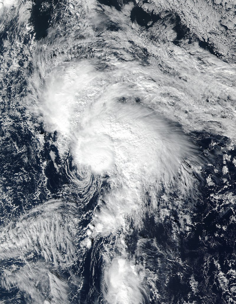 熱帶風暴蕾娜 衛星雲圖