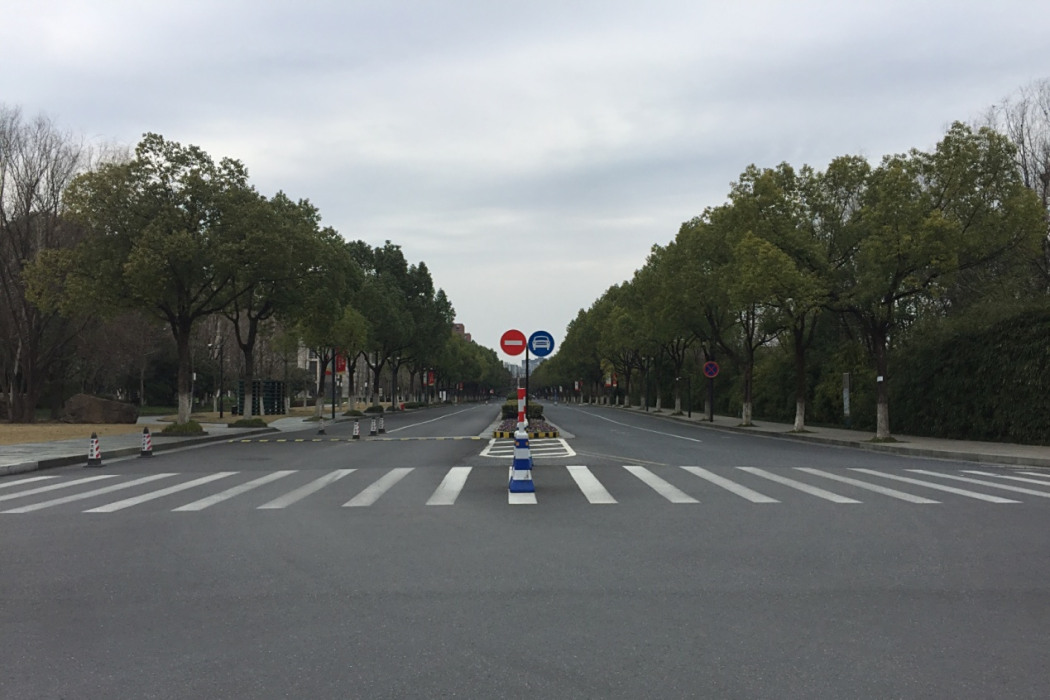 迪臣路 迪臣路