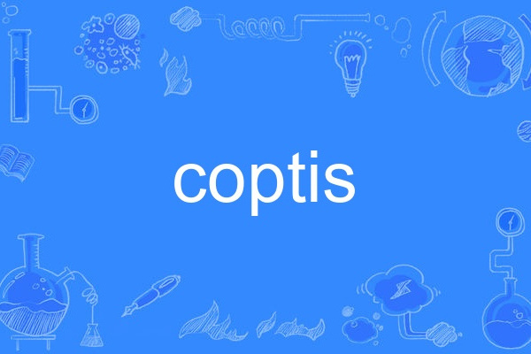 coptis coptis