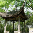 酒香亭 酒香亭