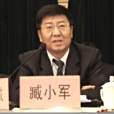 臧小軍 臧小軍