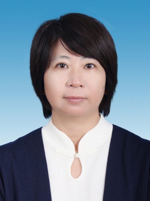 黃晶(天津市審計局黨組成員、副局長) 黃晶(天津市審計局黨組成員、副局長)