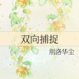 雙向捕捉 雙向捕捉