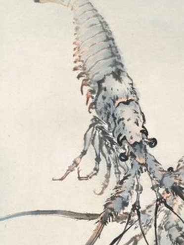龍蝦圖 龍蝦圖