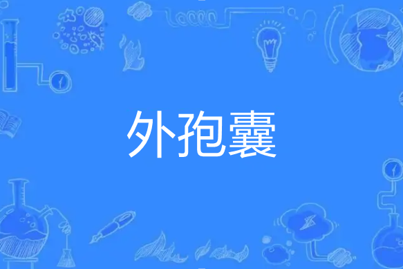 外孢囊 外孢囊