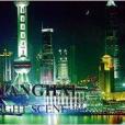 上海月色 上海月色