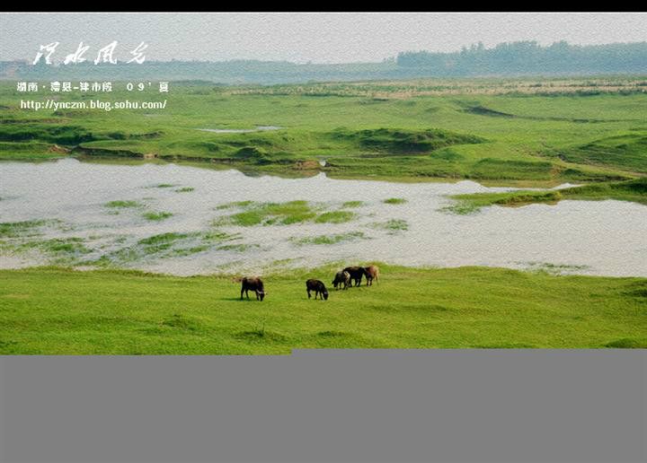 涔陽 涔陽