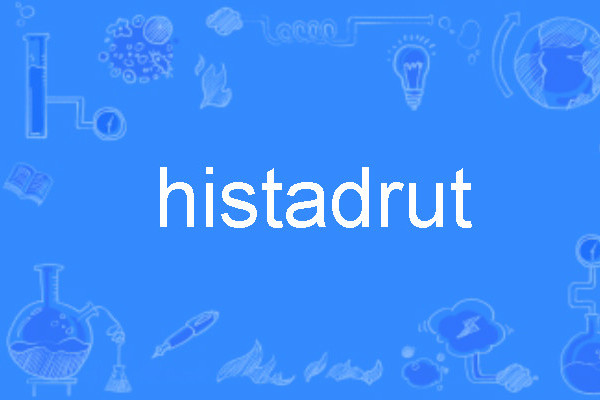 histadrut histadrut