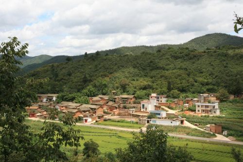 顧家莊村(河北清河縣葛仙莊鎮顧家莊村) 顧家莊村(河北清河縣葛仙莊鎮顧家莊村)