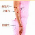 上廉(經絡理論) 上廉(經絡理論)
