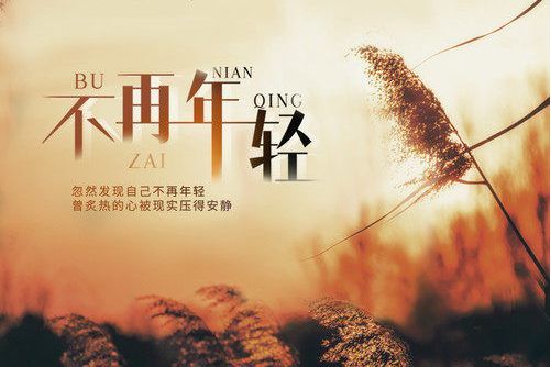 不再年輕(半噸兄弟演唱的歌曲) 不再年輕(半噸兄弟演唱的歌曲)