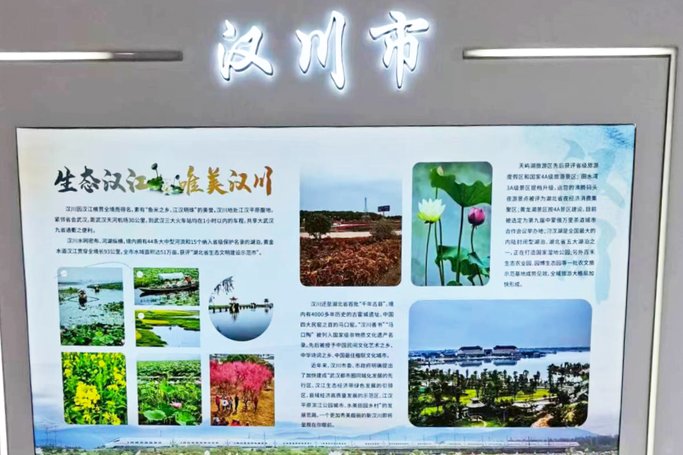 楊林烏壺 楊林烏壺